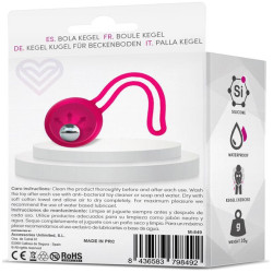 LATETOBED Boule de Kegel Fitty 1 Rose 3.4cm - Poids 35gr